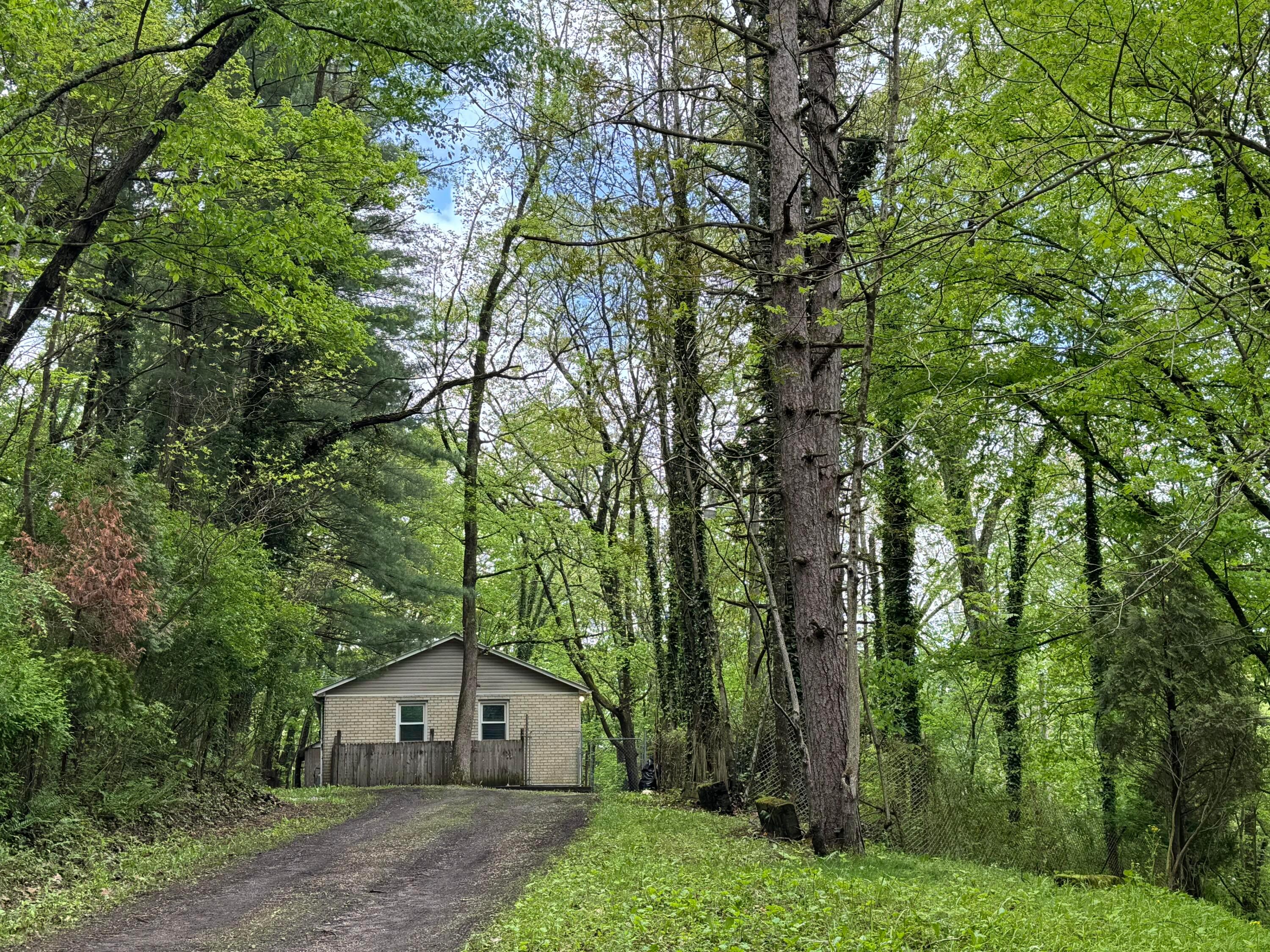 9966 Larimer Road, Logan, Ohio image 2