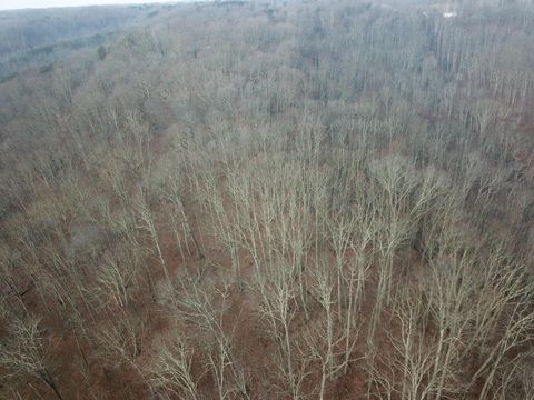 Tiny photo for 12001 W Buck Run, Rockbridge, OH 43149 (MLS # 226000657)