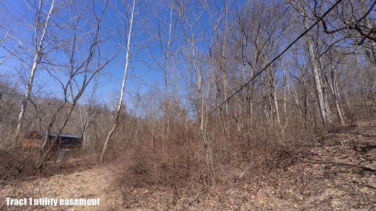 13540 Blue Rock Church Road, Chandlersville, Ohio image 42