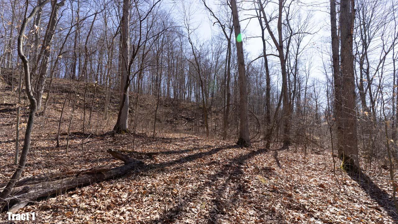 13540 Blue Rock Church Road, Chandlersville, Ohio image 38