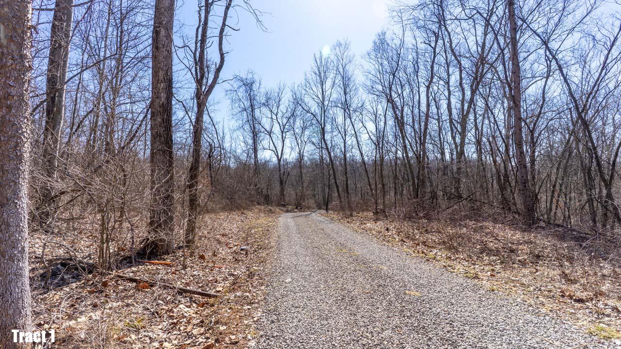13540 Blue Rock Church Road, Chandlersville, Ohio image 45