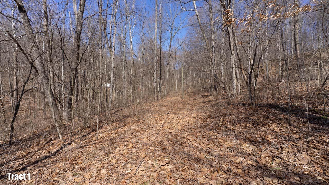 13540 Blue Rock Church Road, Chandlersville, Ohio image 36