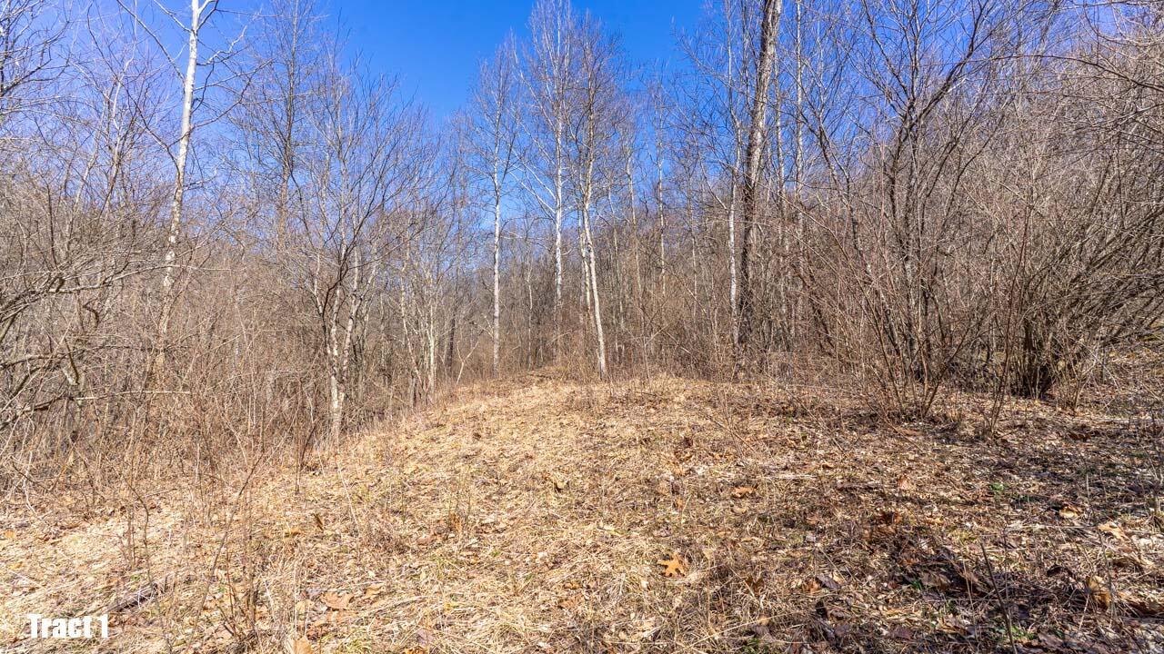 13540 Blue Rock Church Road, Chandlersville, Ohio image 34