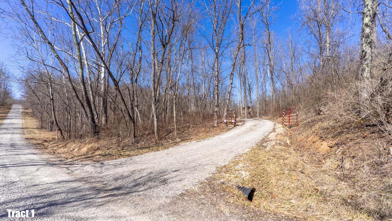 13540 Blue Rock Church Road, Chandlersville, Ohio image 44