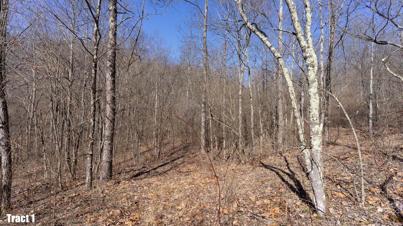 13540 Blue Rock Church Road, Chandlersville, Ohio image 35