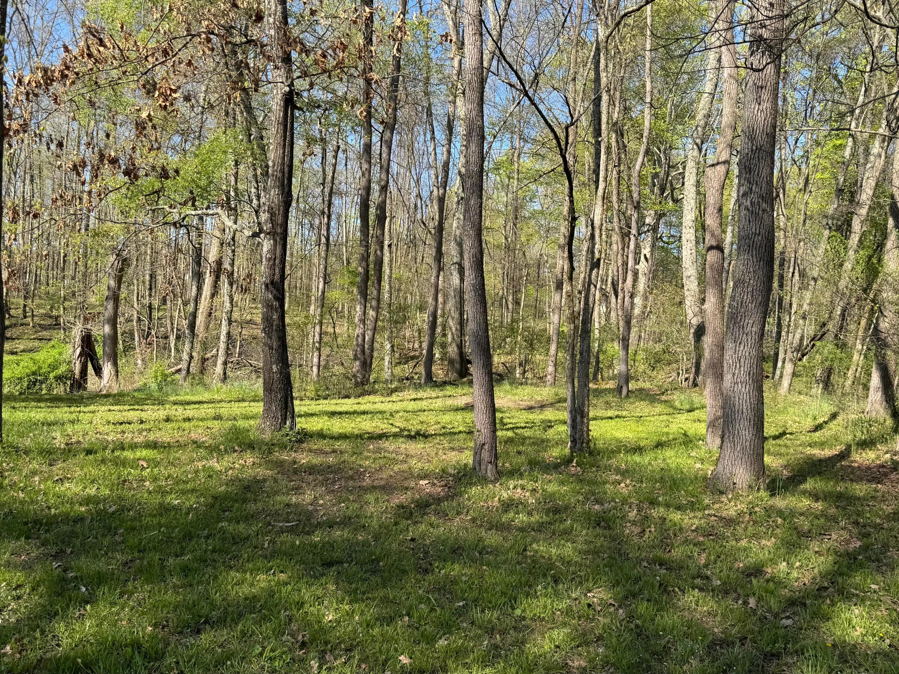 Welsh Road, Nashport, Ohio image 25