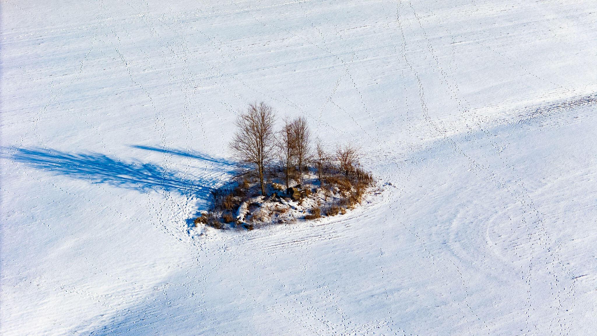 Brown Road, Ostrander, Ohio image 30