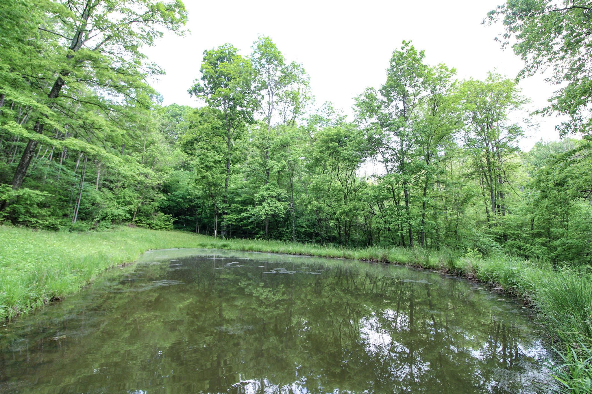 10195 Goosecreek Road, Roseville, Ohio image 42