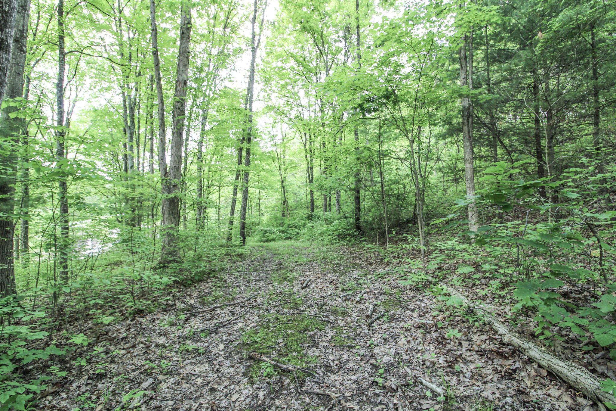 10195 Goosecreek Road, Roseville, Ohio image 40