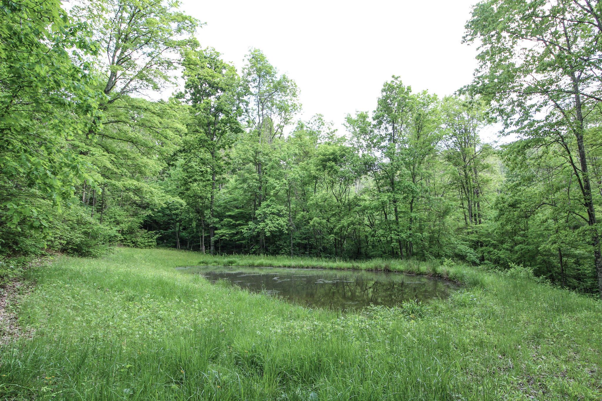 10195 Goosecreek Road, Roseville, Ohio image 41
