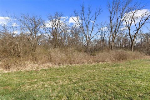 Tiny photo for 5061 Cox Road, North Lewisburg, OH 43060 (MLS # 225037411)