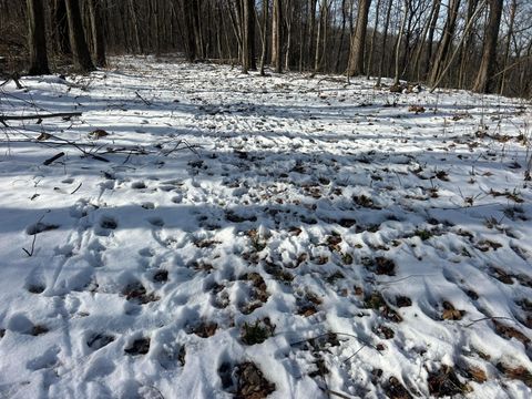 Tiny photo for 5198 Mckinney Crossing NE, Newark, OH 43055 (MLS # 226000525)