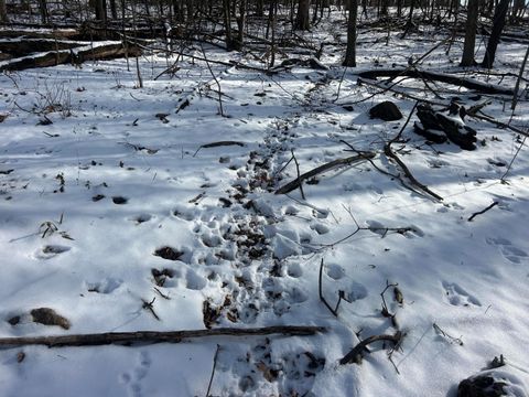 Tiny photo for 5198 Mckinney Crossing NE, Newark, OH 43055 (MLS # 226000525)