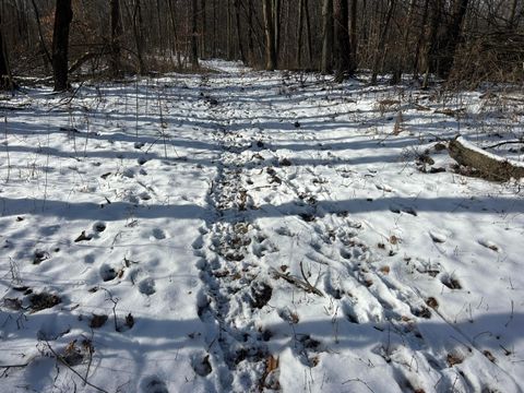 Tiny photo for 5198 Mckinney Crossing NE, Newark, OH 43055 (MLS # 226000525)