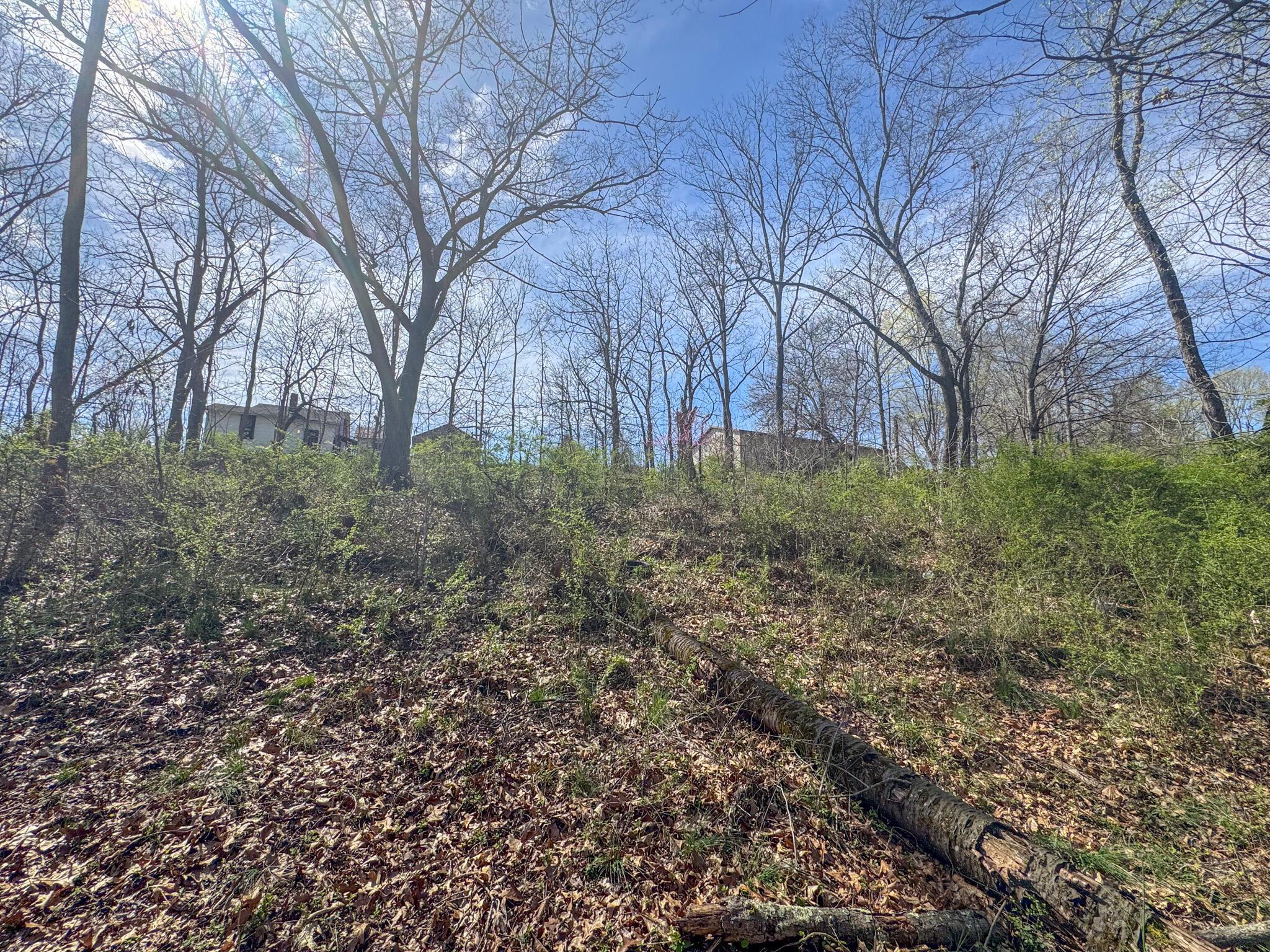 52 E Grogan Avenue, Logan, Ohio image 10