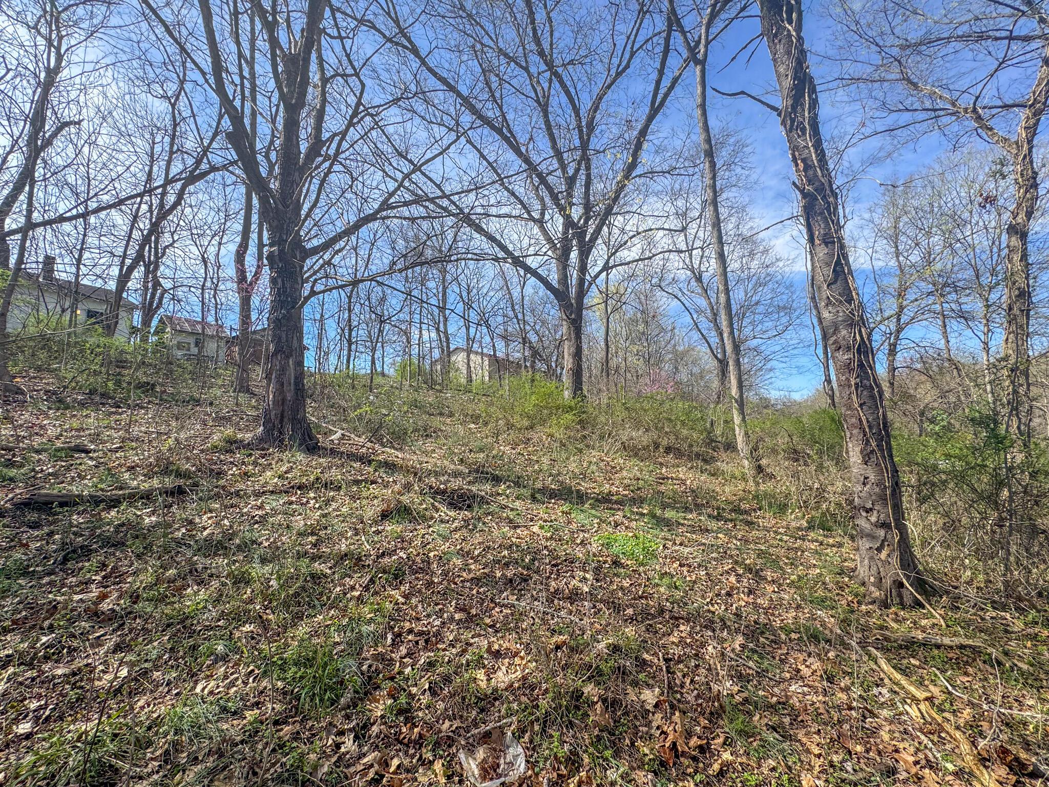 52 E Grogan Avenue, Logan, Ohio image 12