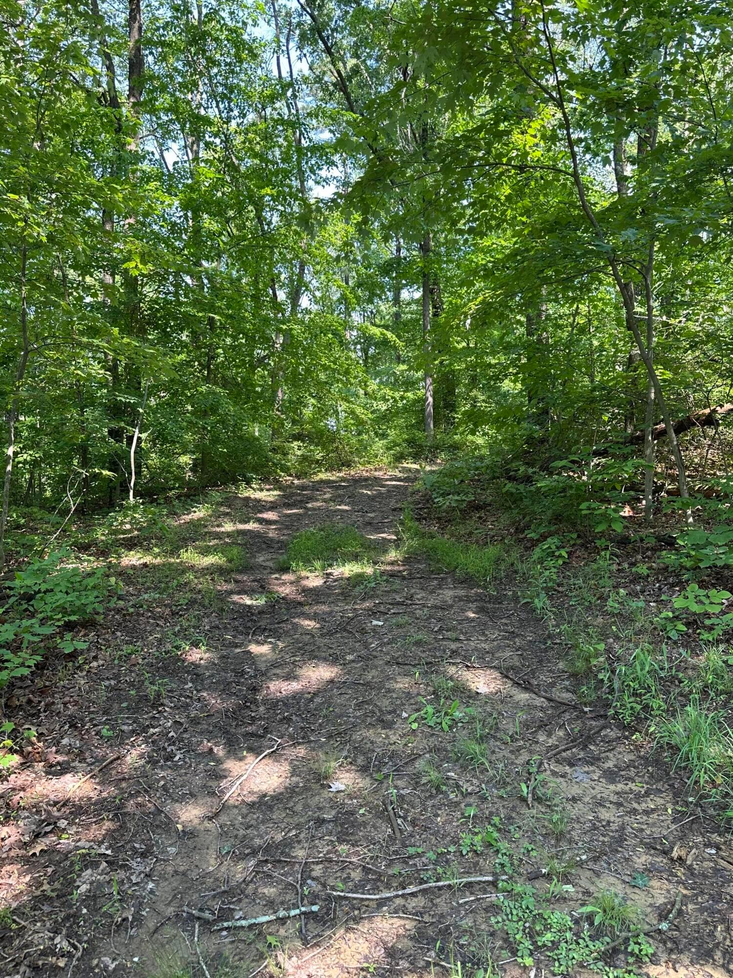 58505 North Branch Road, South Bloomingville, Ohio image 15