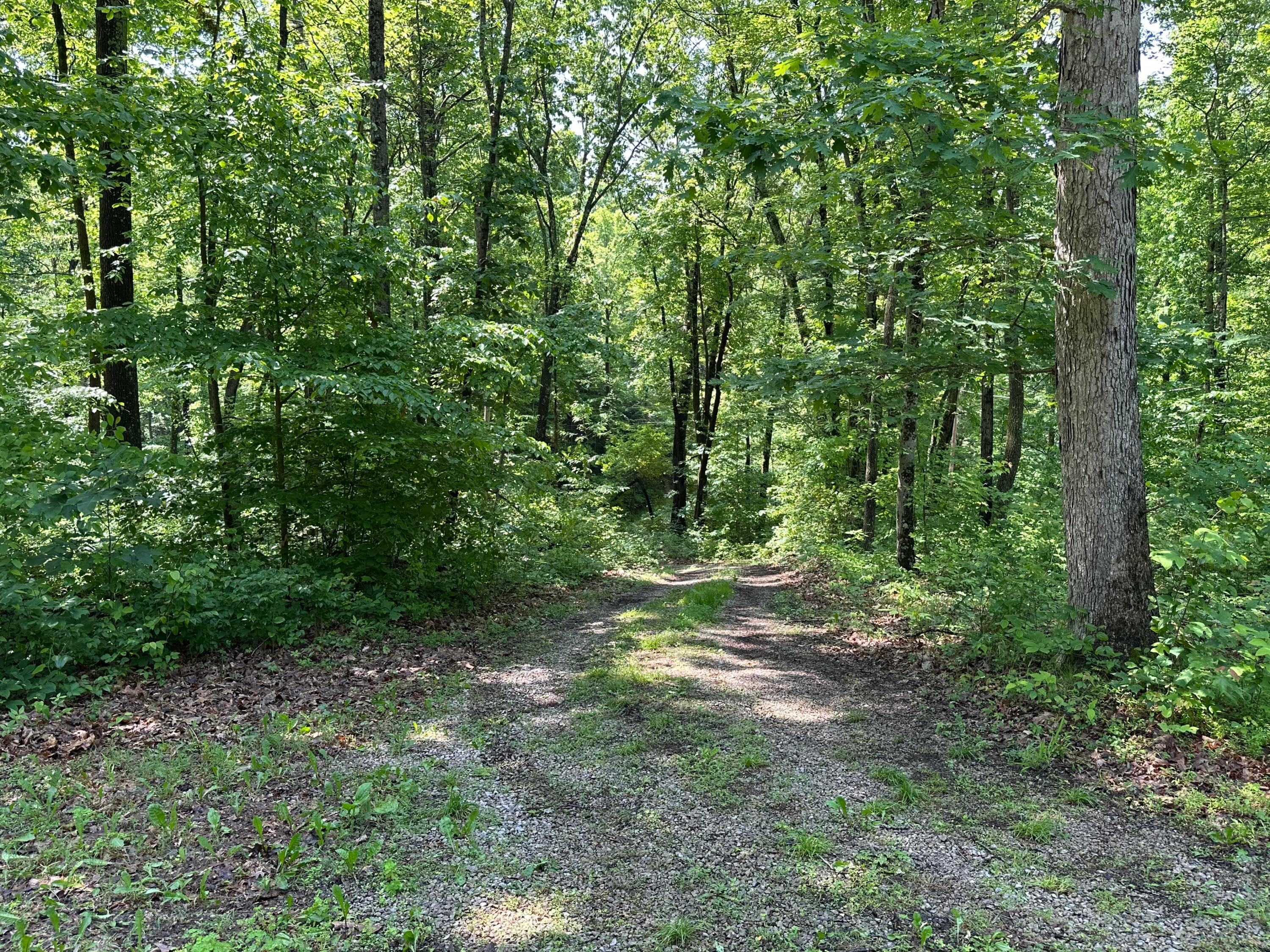 58505 North Branch Road, South Bloomingville, Ohio image 18