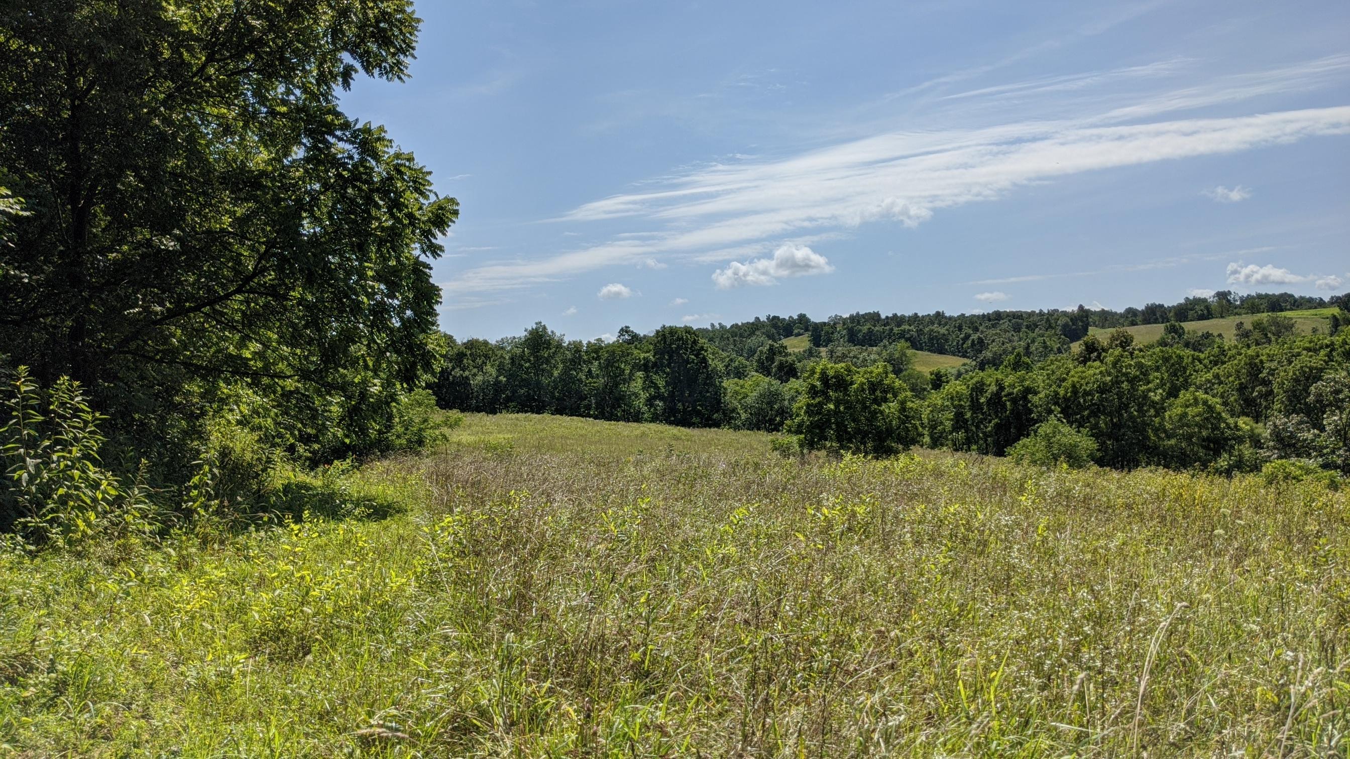 Photo 10 of 33 of 0 Fitzpatrick Road land