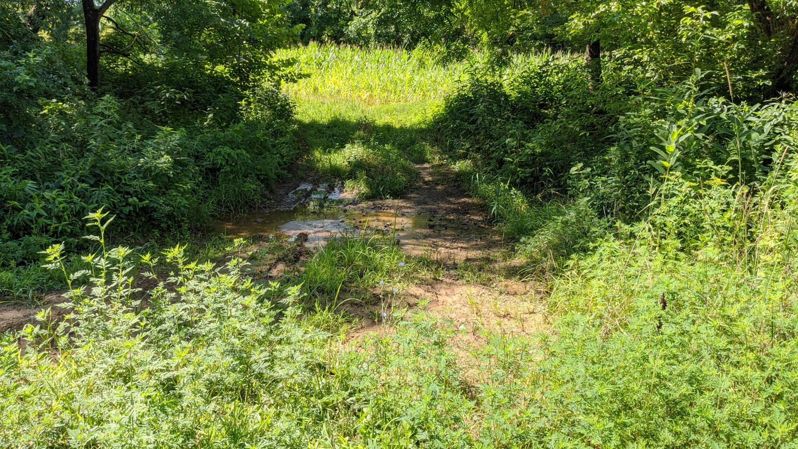 Photo 16 of 33 of 0 Fitzpatrick Road land