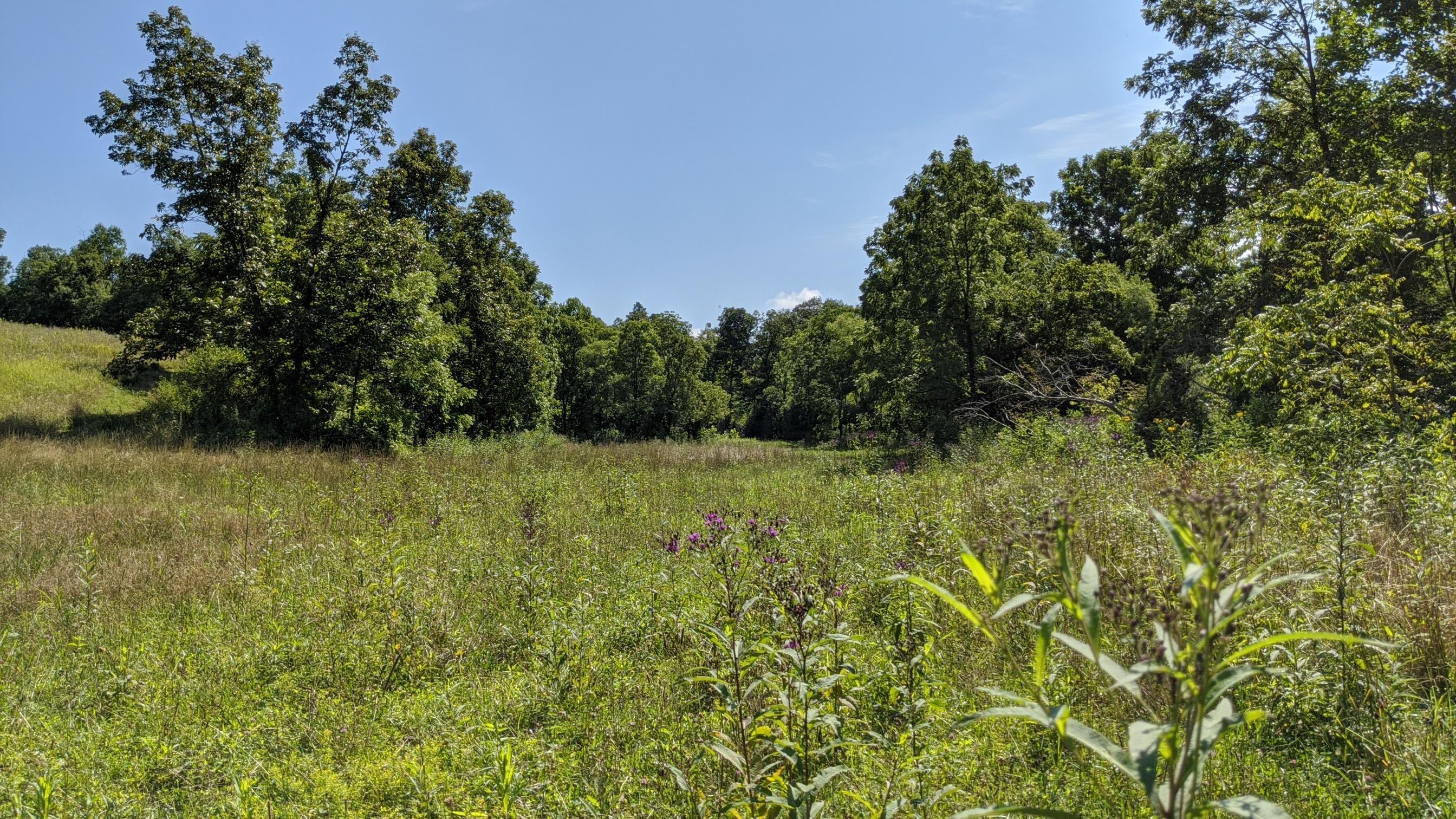 Photo 11 of 33 of 0 Fitzpatrick Road land