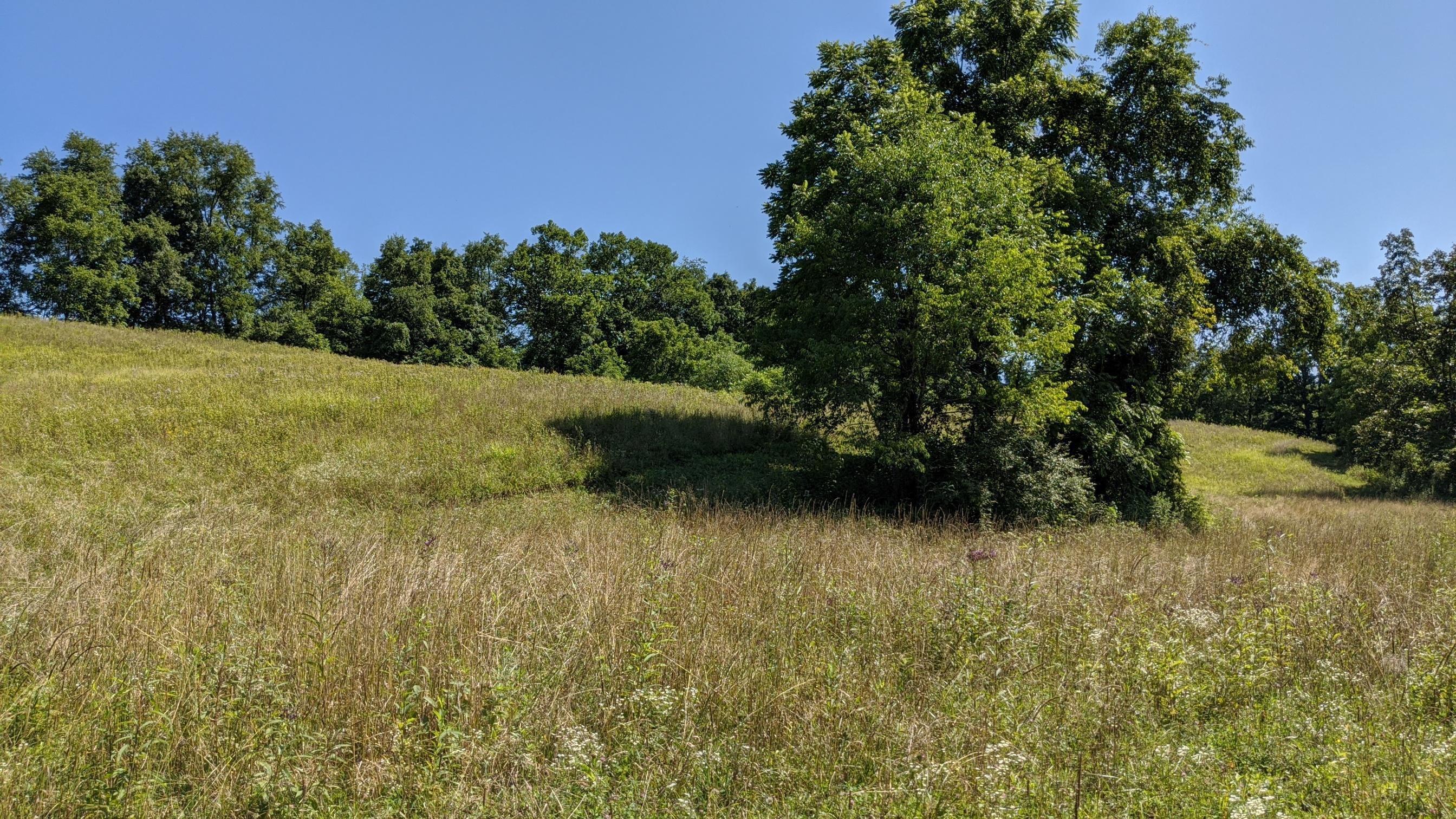 Photo 5 of 33 of 0 Fitzpatrick Road land
