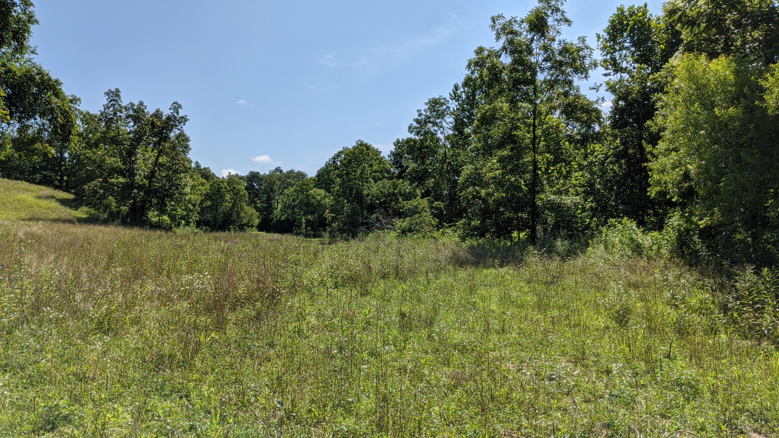 Photo 6 of 33 of 0 Fitzpatrick Road land