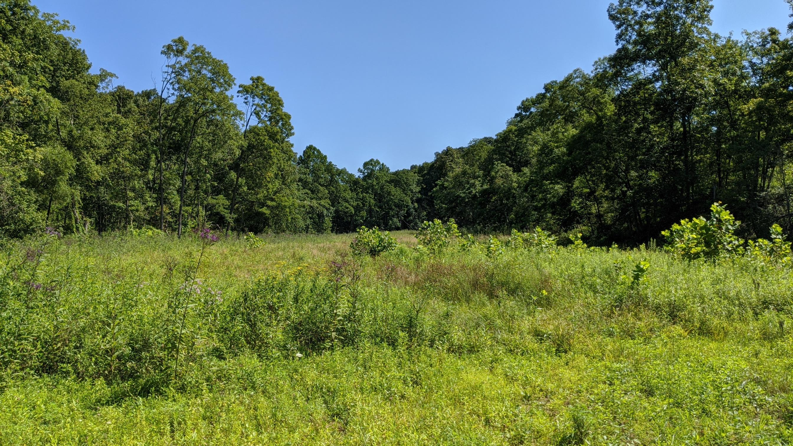 Photo 14 of 33 of 0 Fitzpatrick Road land