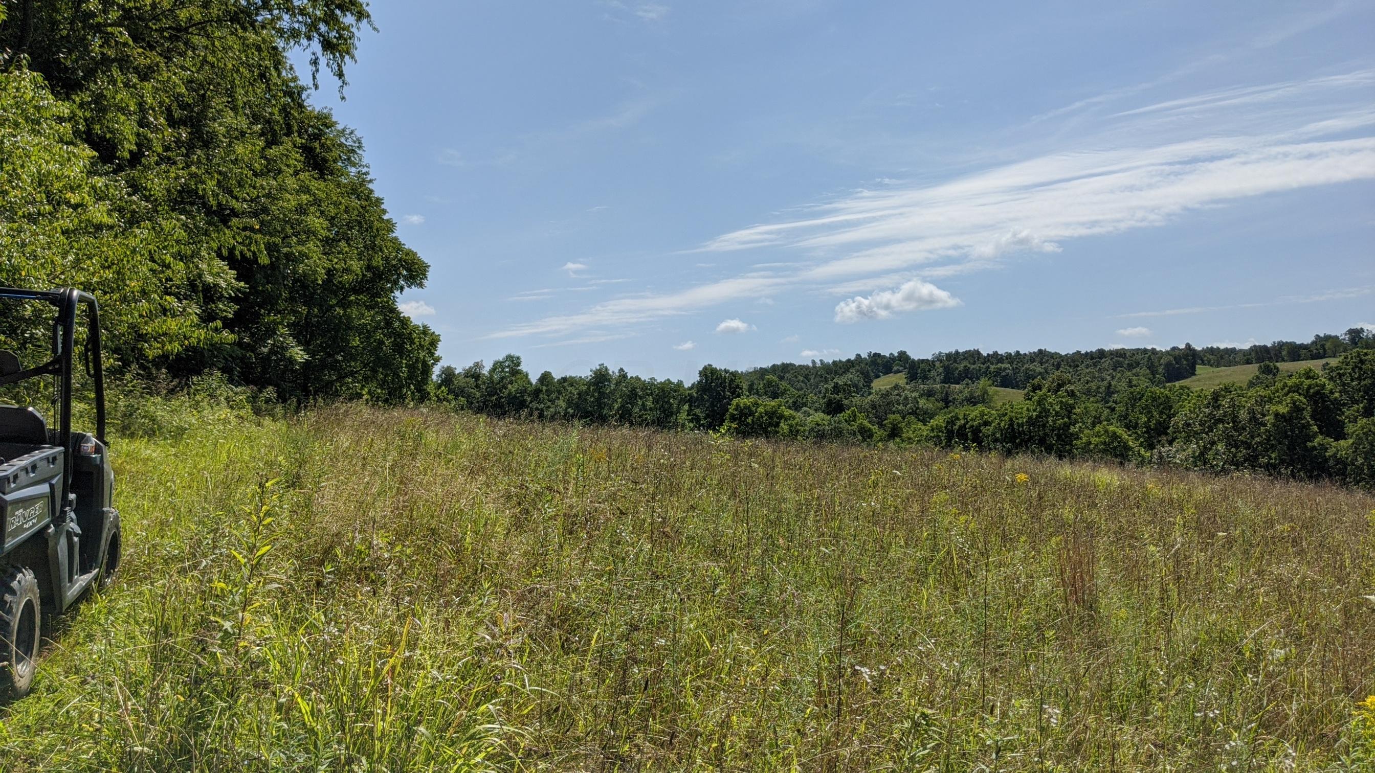 Photo 9 of 33 of 0 Fitzpatrick Road land