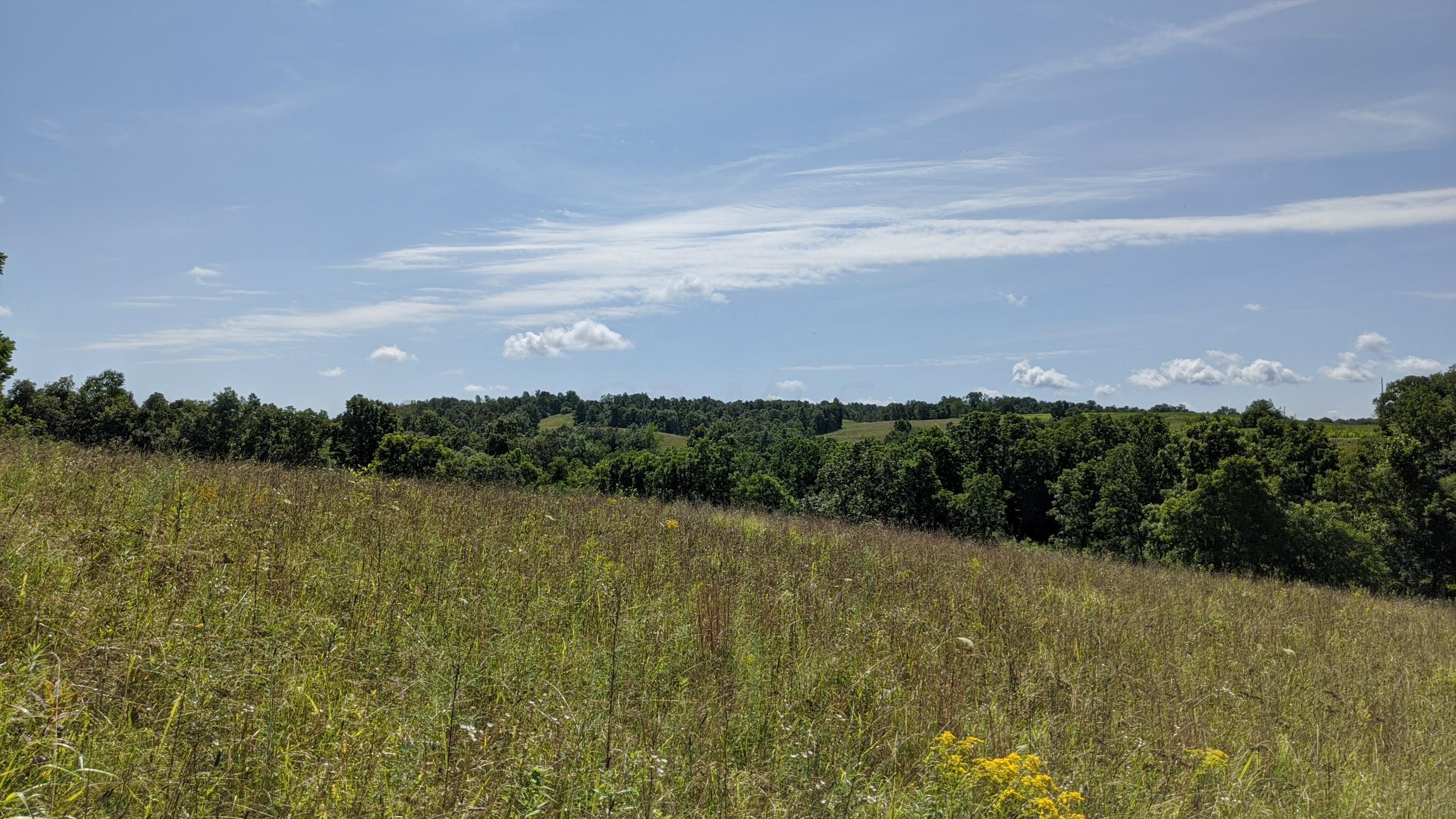 Photo 8 of 33 of 0 Fitzpatrick Road land