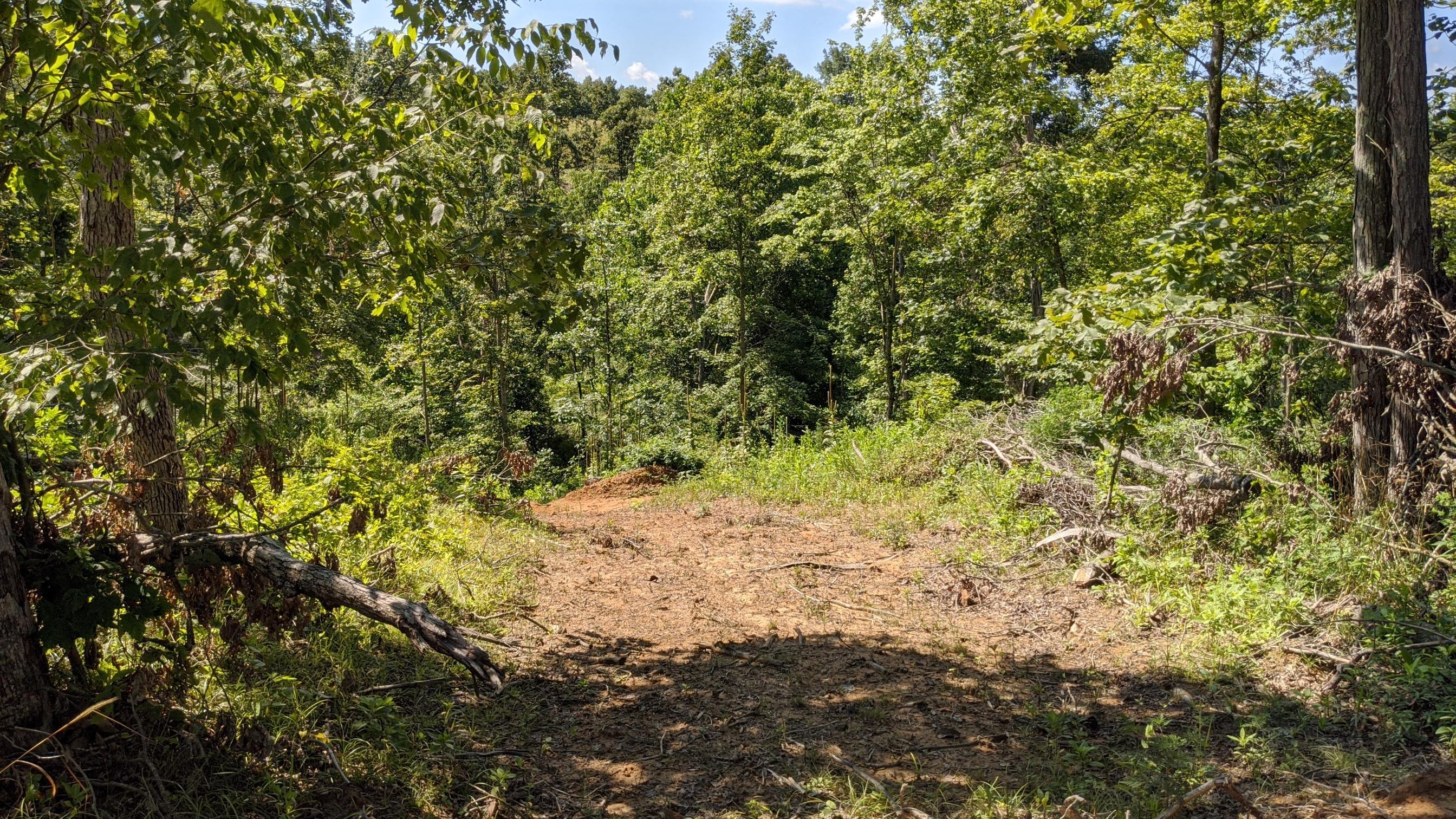 Photo 21 of 33 of 0 Fitzpatrick Road land