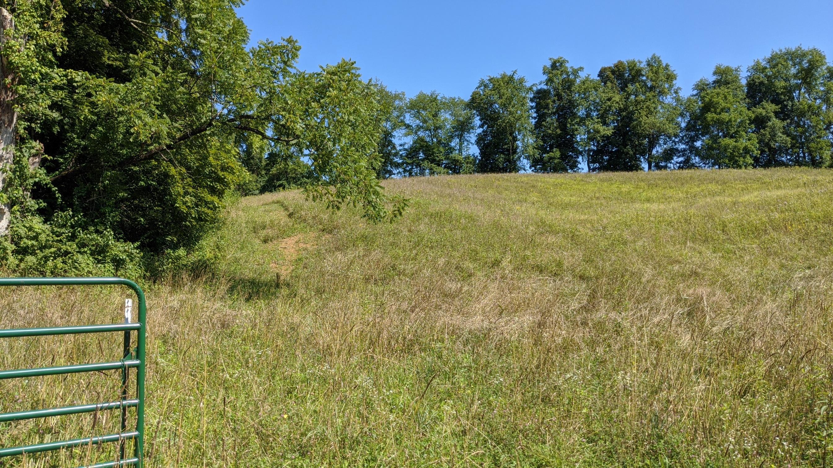 Photo 4 of 33 of 0 Fitzpatrick Road land
