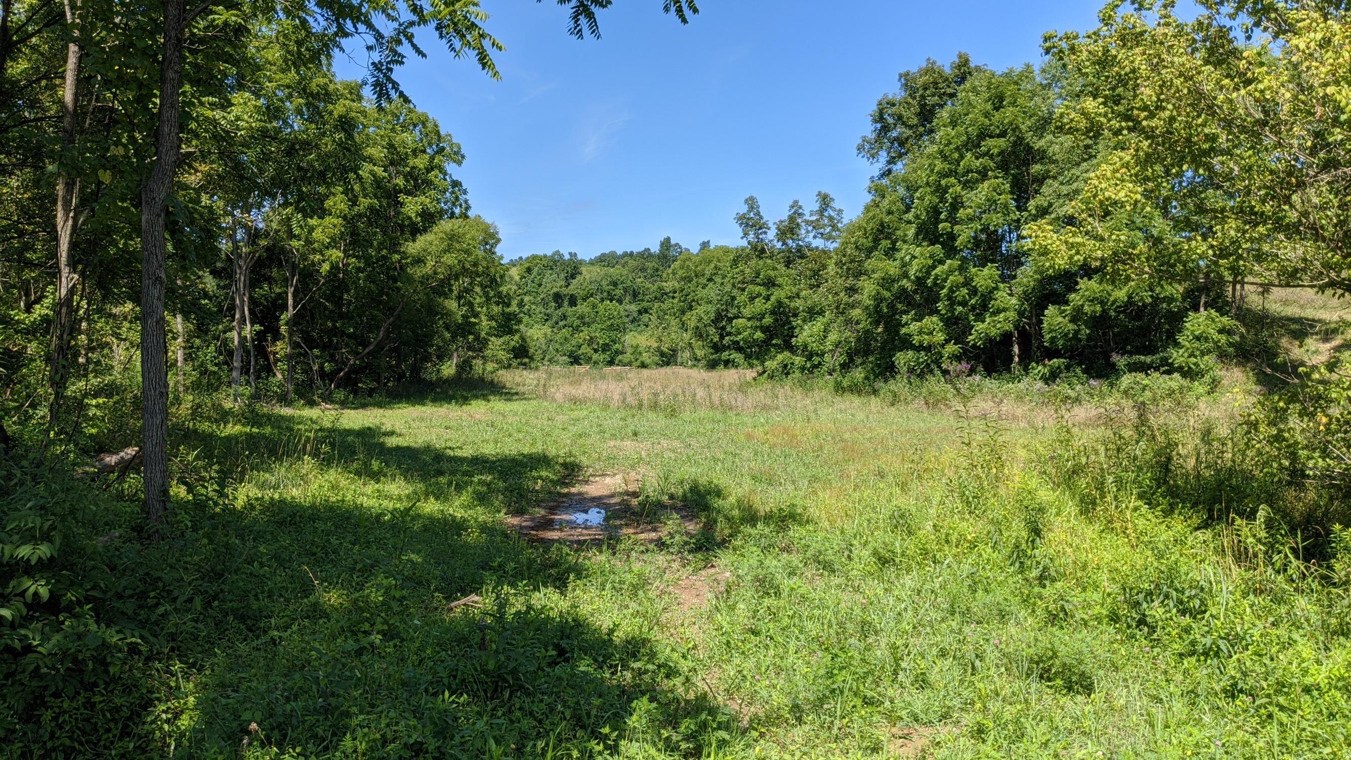 Photo 13 of 33 of 0 Fitzpatrick Road land