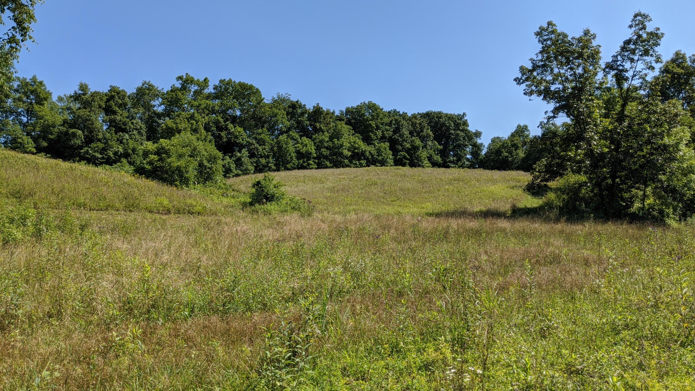 Photo 12 of 33 of 0 Fitzpatrick Road land