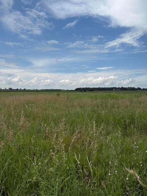 Photo for 0 Robinson Road