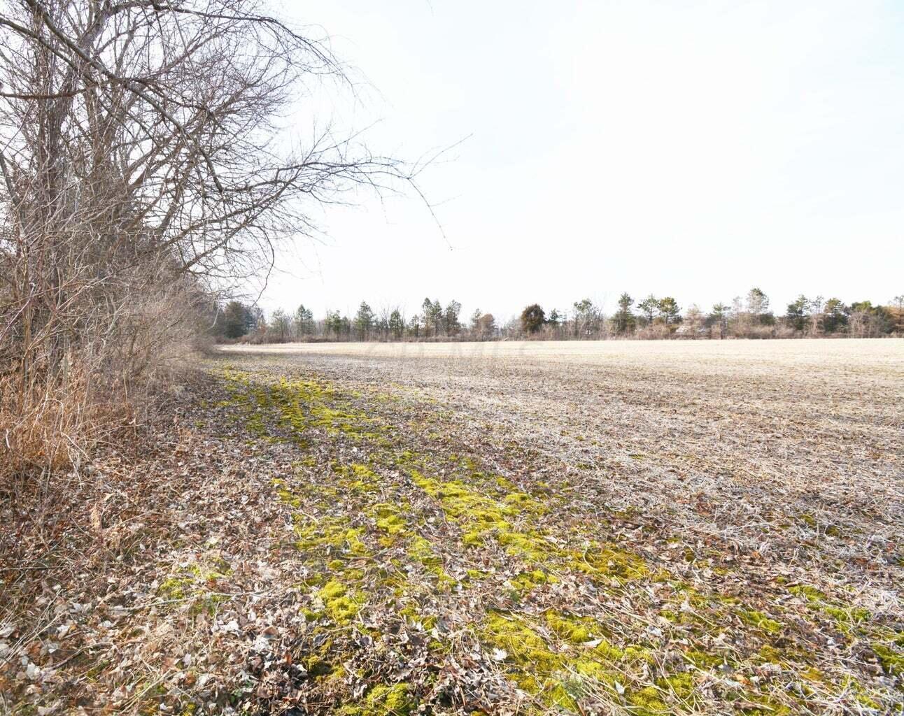 0004 Carters Corner Road, Sunbury, Ohio image 10