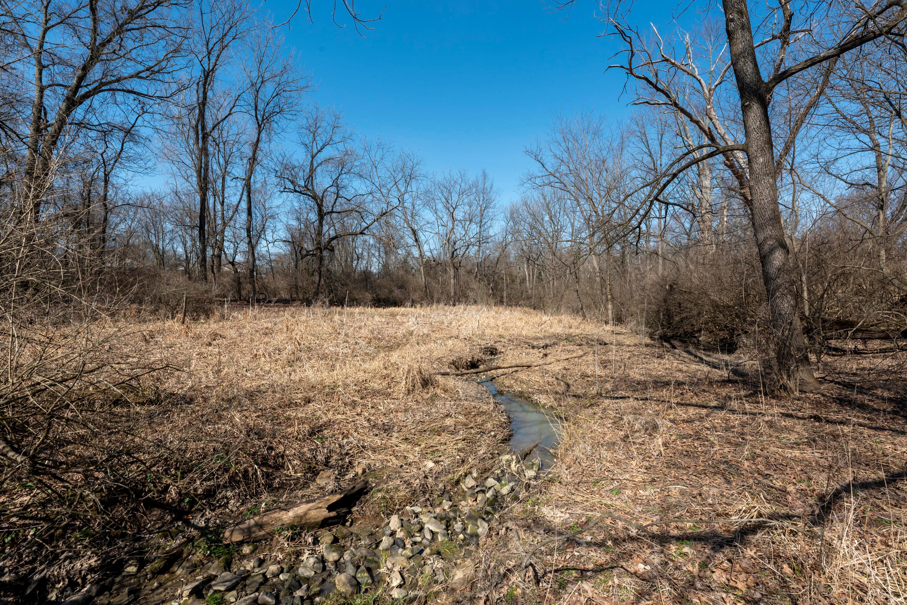 5143 E Walnut Street, Westerville, Ohio image 10