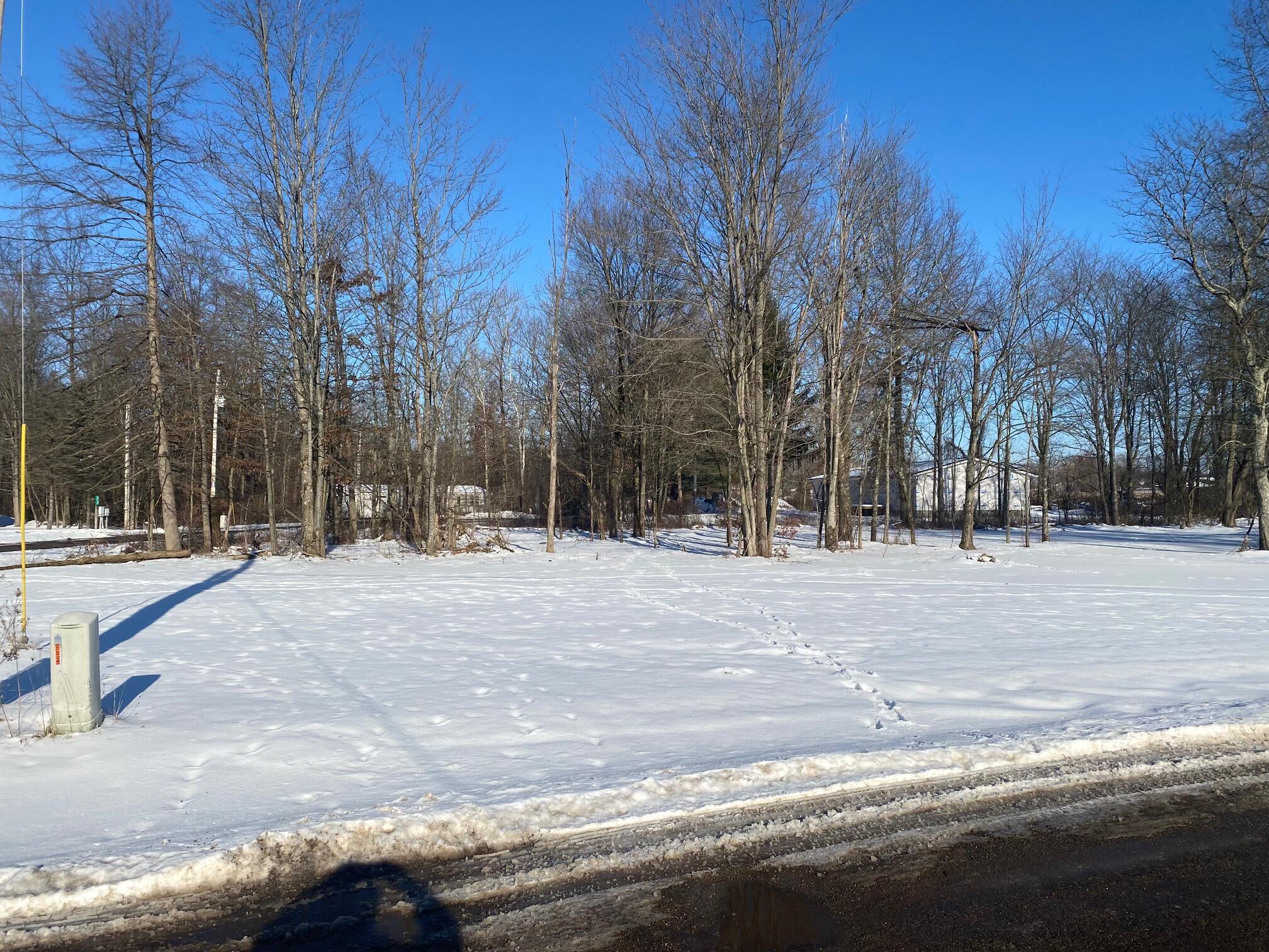 7326 State Route 19 #UNIT 6, LOTS 90,91,92, Mount Gilead, Ohio image 1