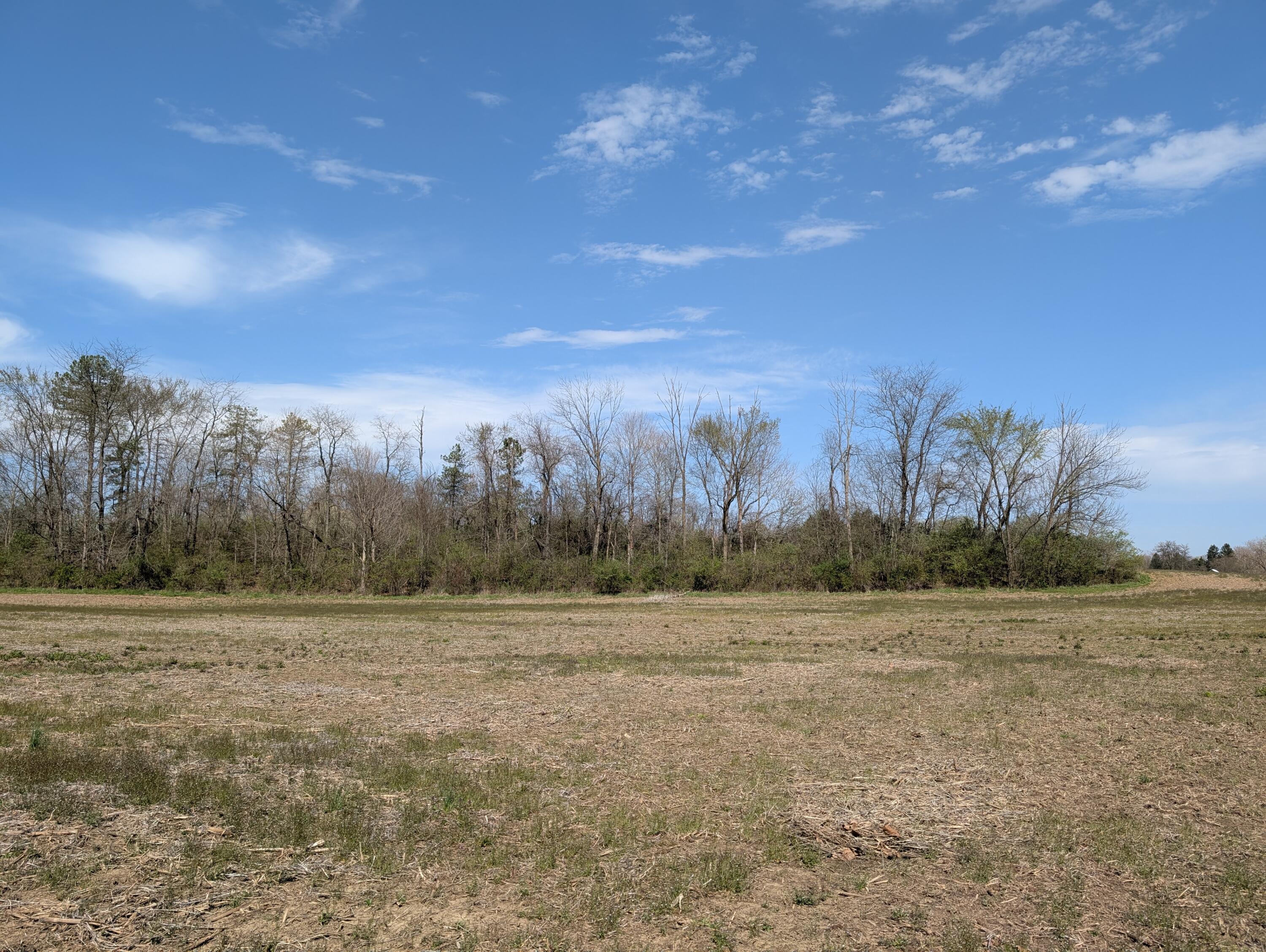 Van Fossen Road #TRACT B, Johnstown, Ohio image 2