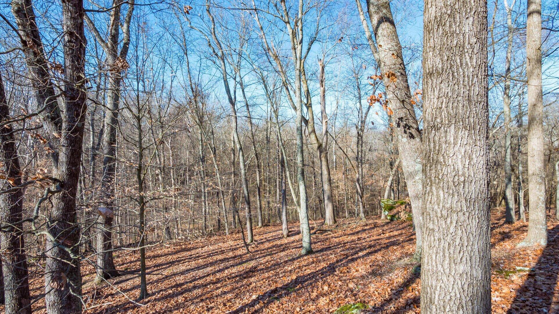 18988 Claypool Road, Nashport, Ohio image 43