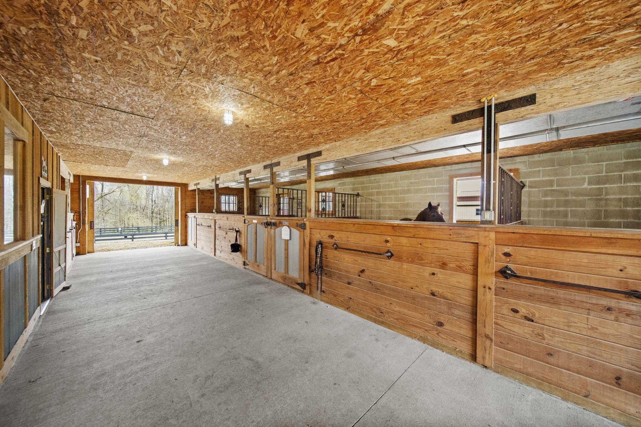 Alexandria, Ohio 43001, United States, 5 Bedrooms Bedrooms, ,11 BathroomsBathrooms,Residential,Contingent,111652