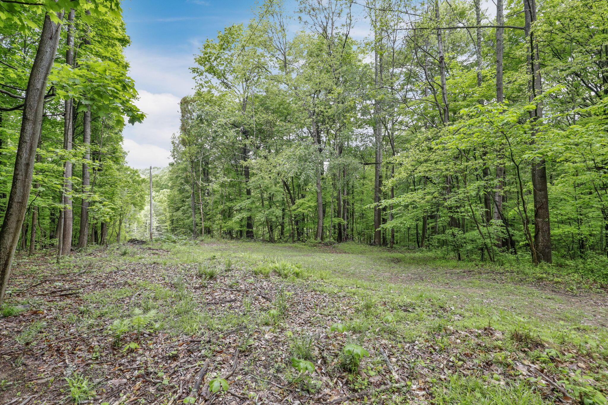 15190 State Route 678, Rockbridge, Ohio image 47