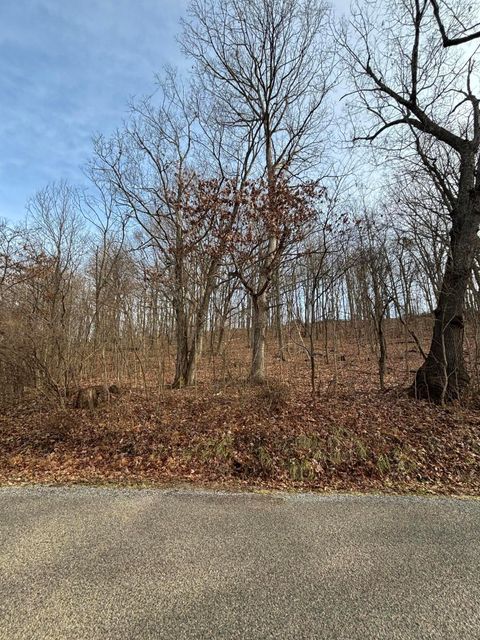 Photo of 0 E SD BENNER OH, South Salem, OH 45681 (MLS # 225046180)