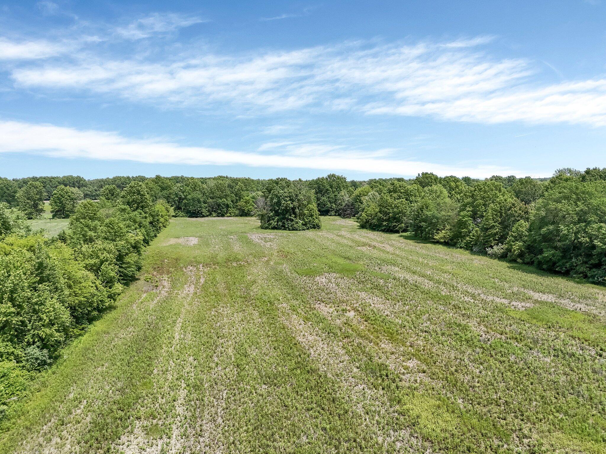 Morse Road, New Albany, Ohio image 9