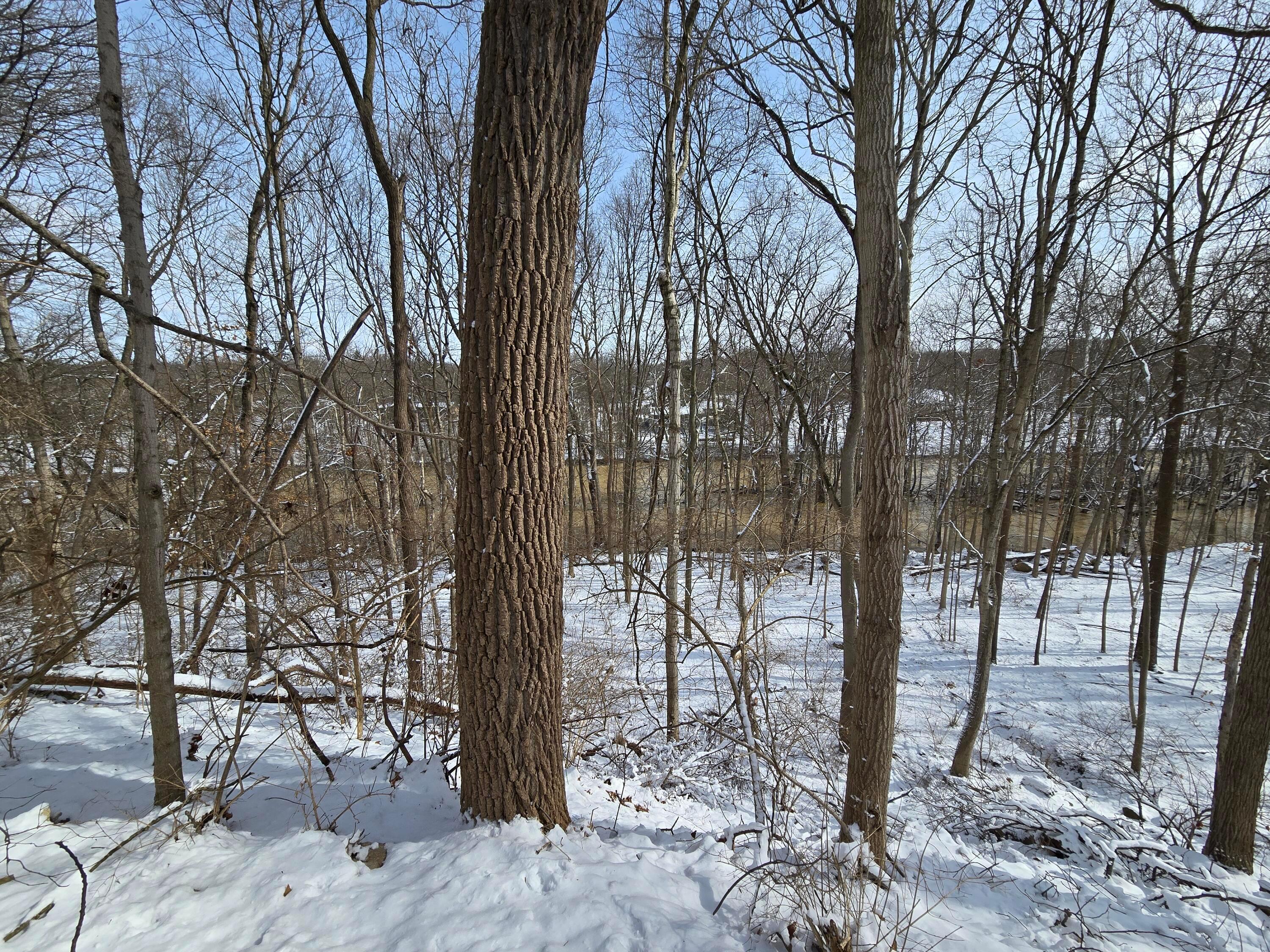 4650 Chatham Court, Dublin, Ohio image 13