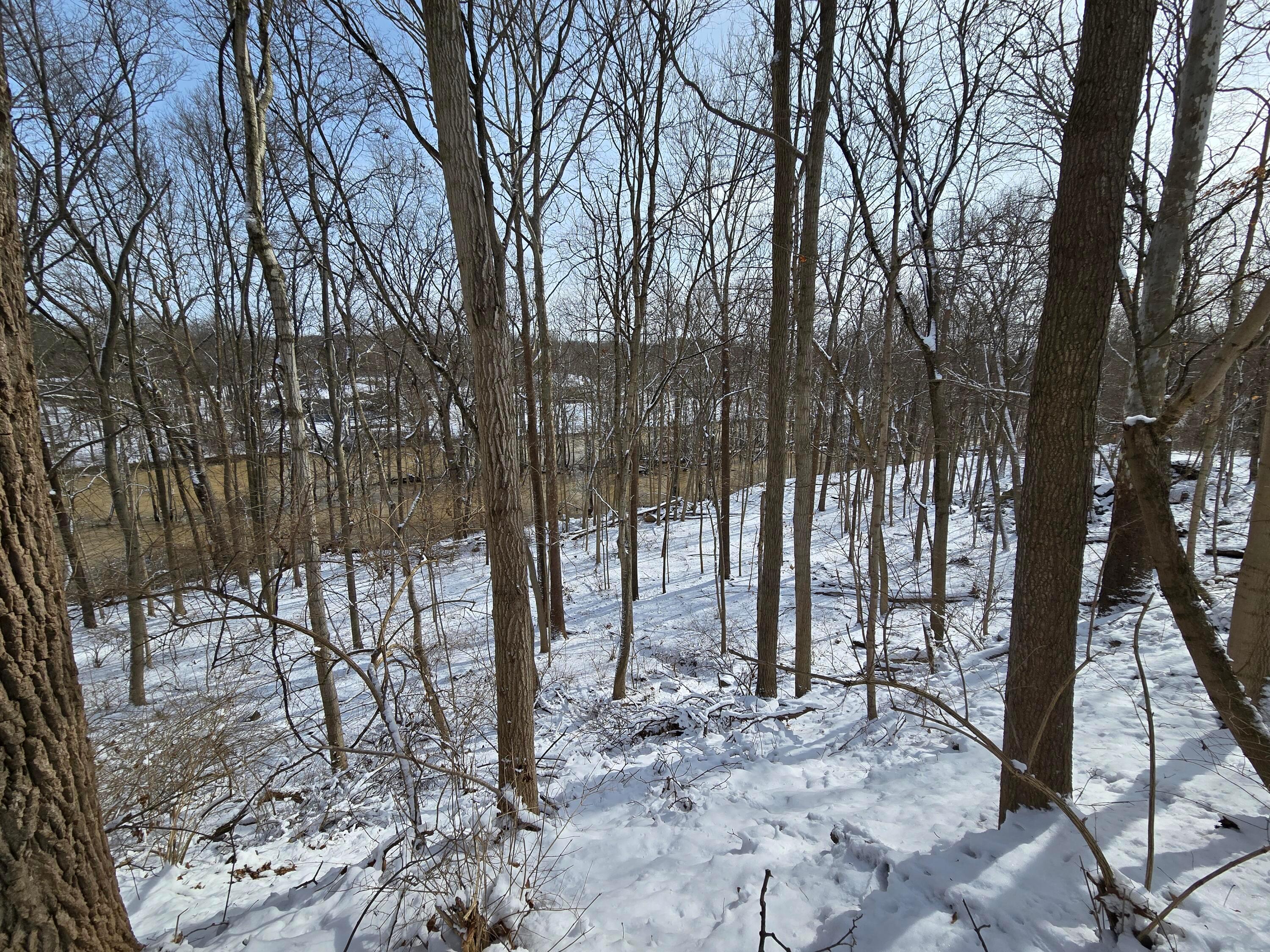 4650 Chatham Court, Dublin, Ohio image 14