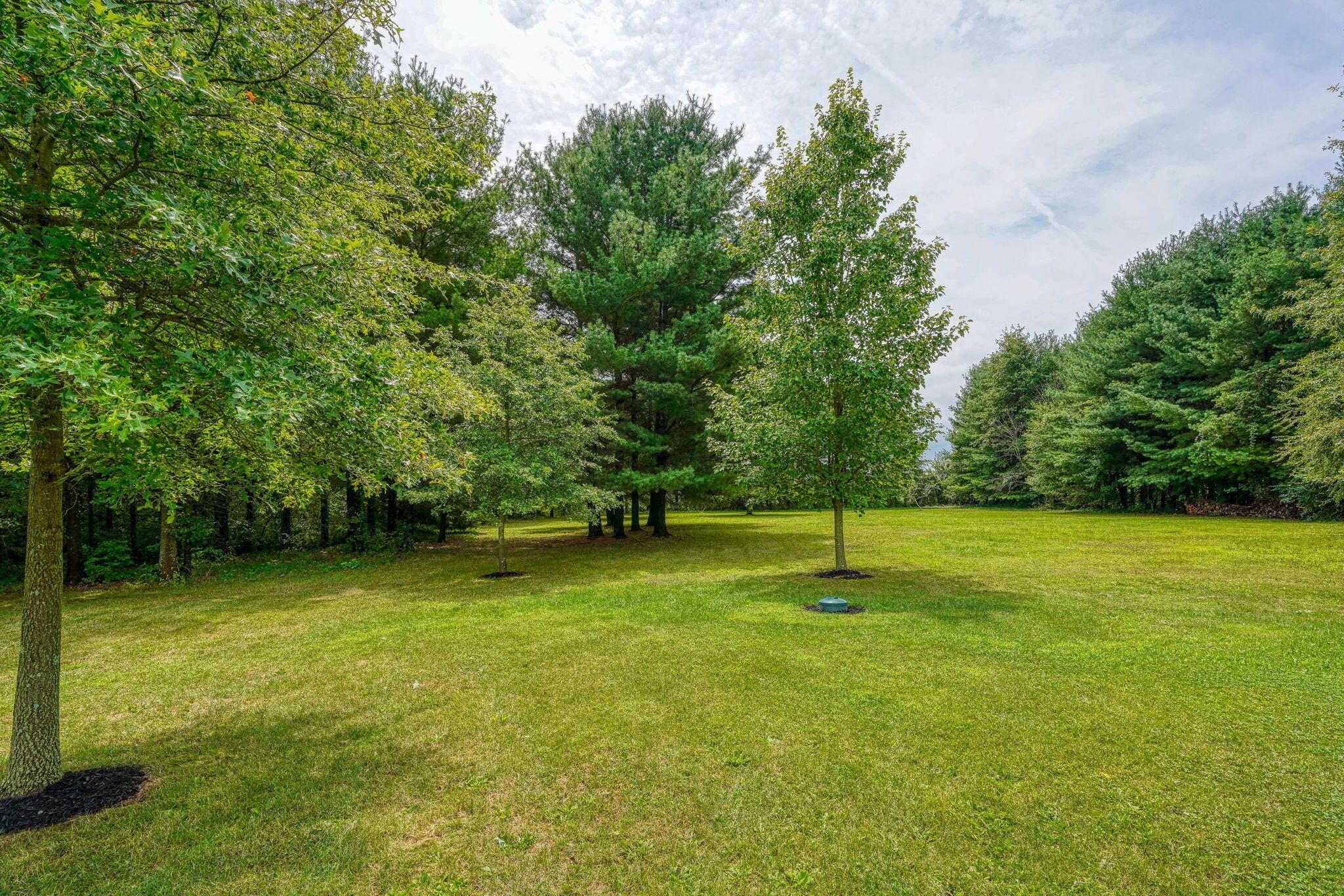 16136 Lewis Road, Sunbury, Ohio image 15