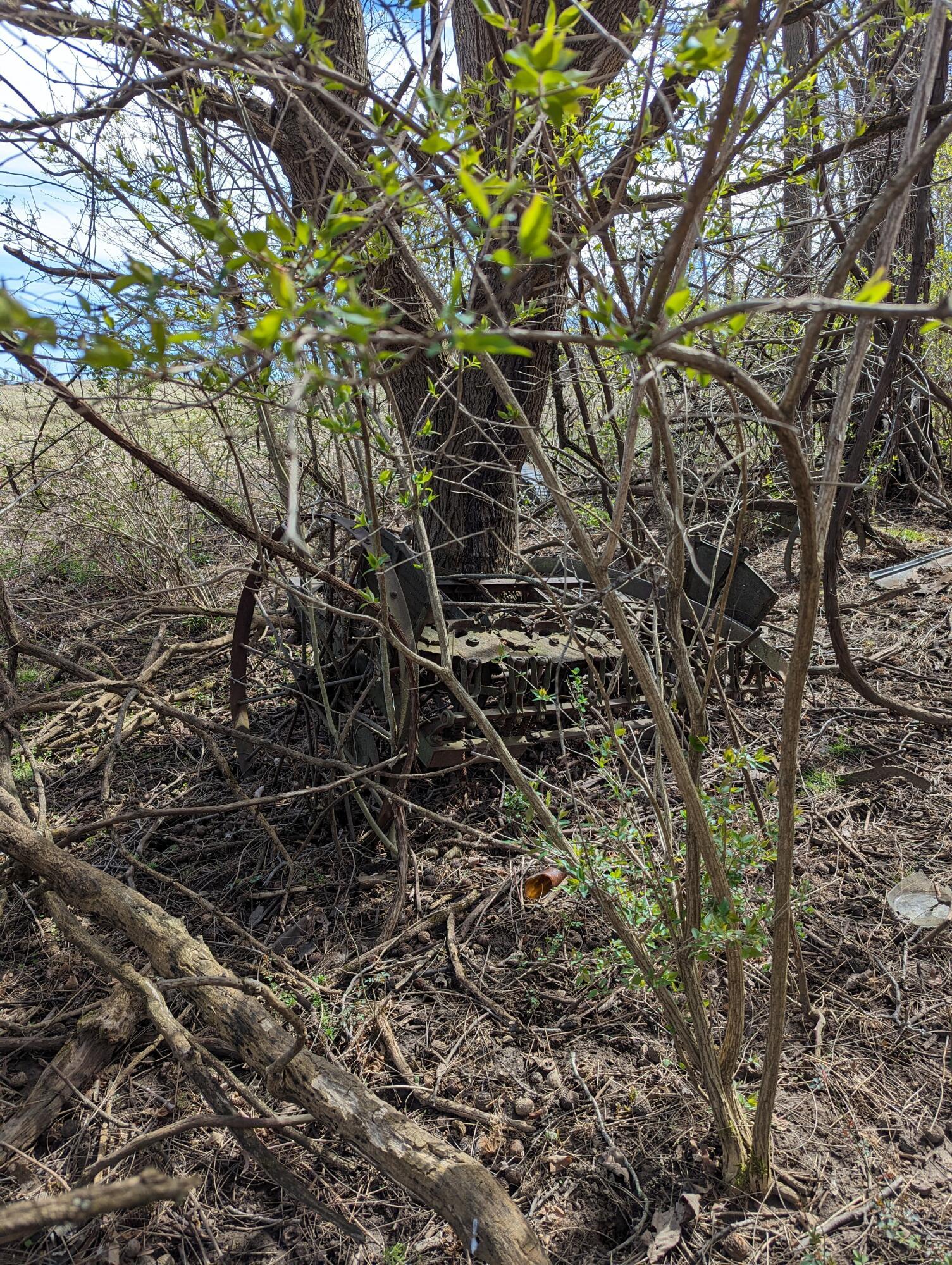 Dunham Road, Mount Vernon, Ohio image 11