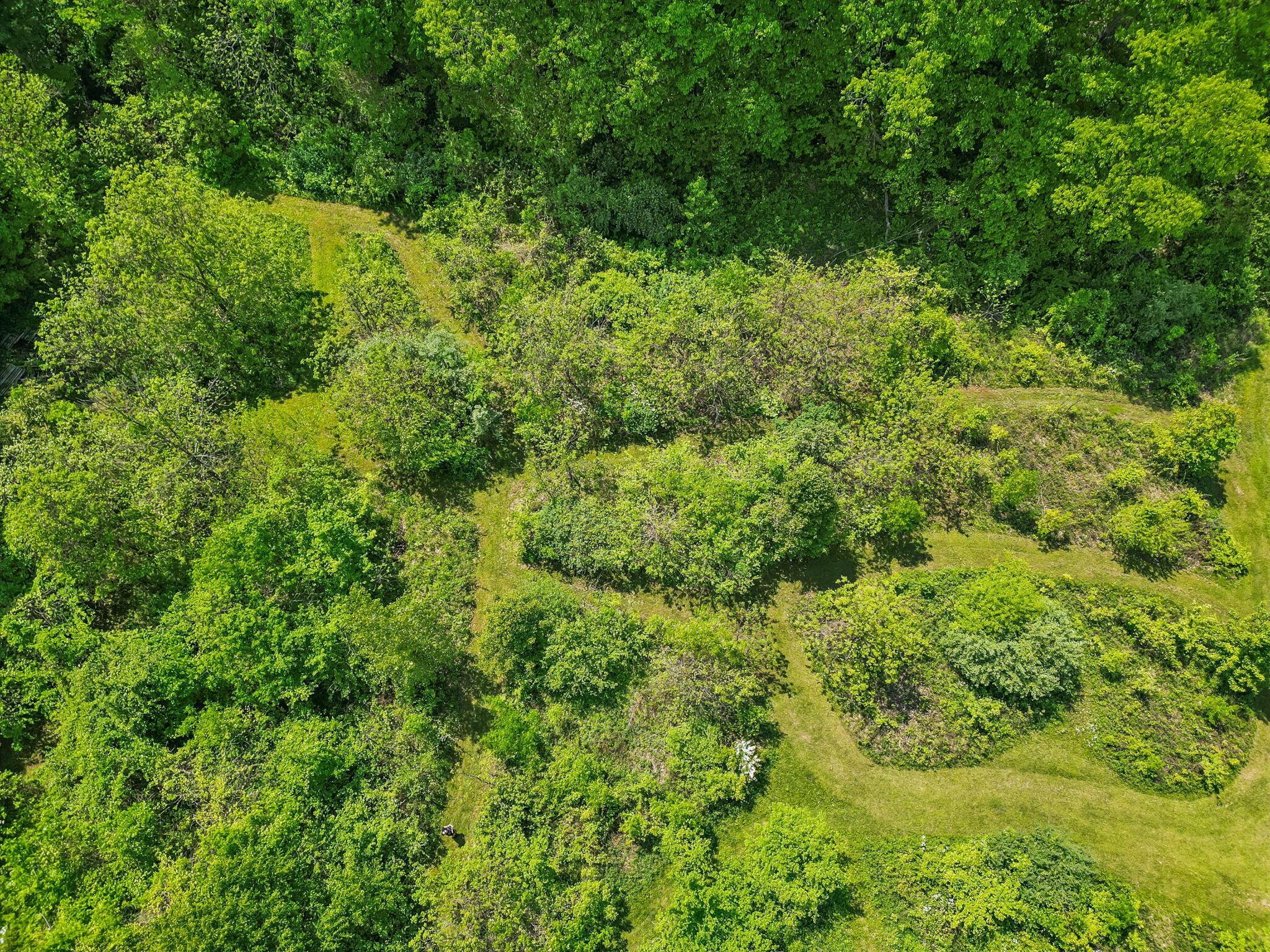 4217 Caswell Road, Johnstown, Ohio image 4