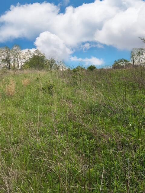 Revenge Road, Lancaster, Ohio image 5